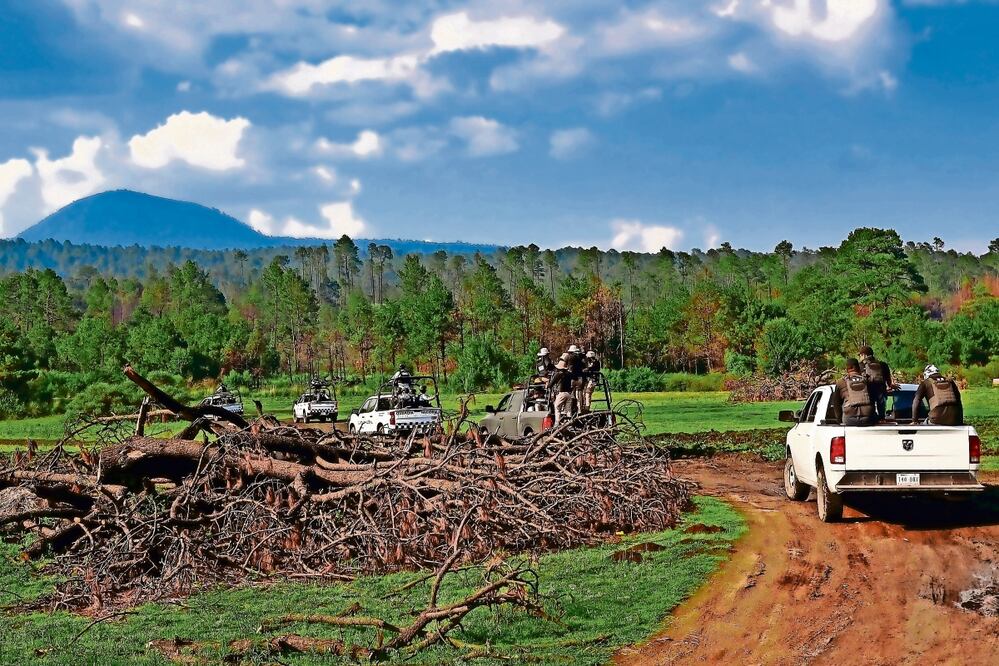 La tala clandestina continúa afectando parajes de la alcaldía Tlalpan, por lo que funcionarios solicitan la intervención de las autoridades. Foto: Archivo | El Universal