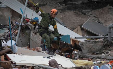 Suman 214 muertos por sismo en la CDMX
