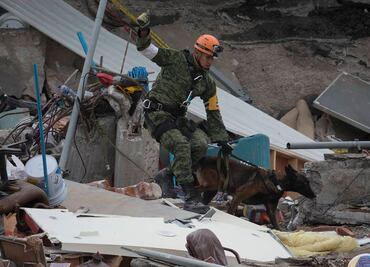 Suman 214 muertos por sismo en la CDMX