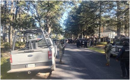 Presuntos talamontes agreden a policías en Parque Nacional La Malinche en Tlaxcala; hay un detenido