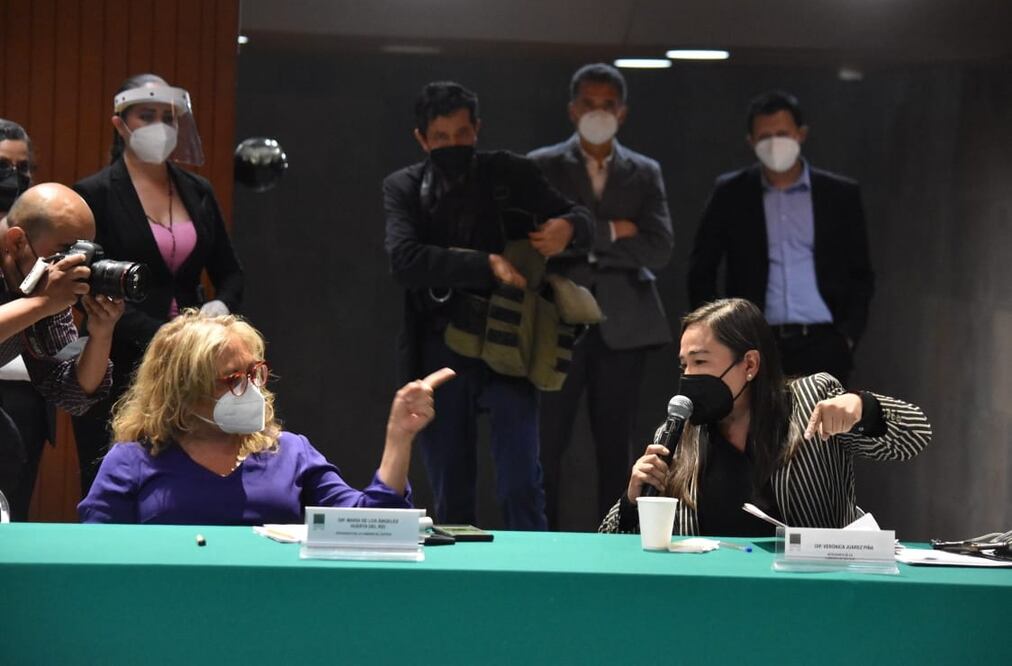 En la imagen Ángeles Huerta diputada de Morena y Verónica Juárez Piña, diputada del PRD / Foto: Especial