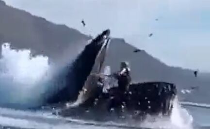 Video: como en 'Pinocho', ballena se "traga" a dos mujeres en California