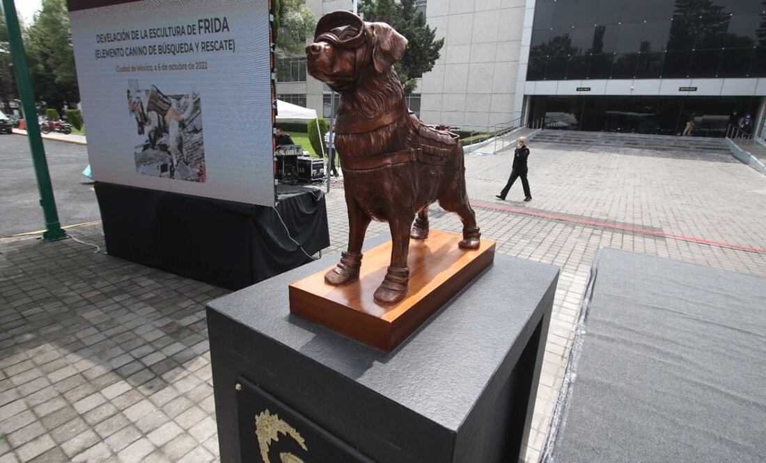Escultura de bronce de la perrita rescatista Frida / Foto: Carlos Mejía. EL UNIVERSAL