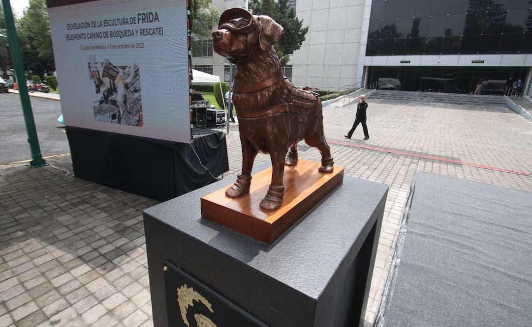 Escultura de bronce de la perrita rescatista Frida / Foto: Carlos Mejía. EL UNIVERSAL