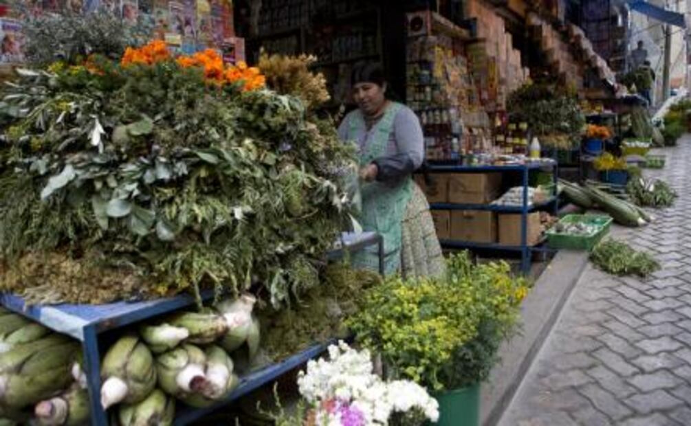 Fetos de llama dan bienvenida al "Mercado de las Brujas" en La Paz