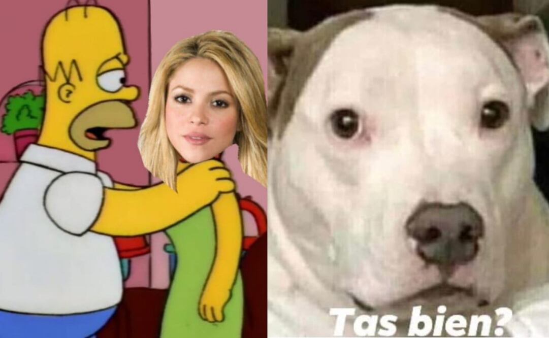 La colaboración de Shakira y Karol G generó memes a favor y en contra. Foto: Twitter
