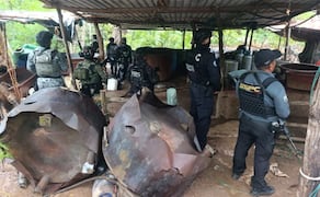 Elementos de la Secretaría de Seguridad y  Protección Ciudadana (SSPC), Guardia Nacional (GN) y Secretaría de la Defensa Nacional (Sedena) aseguraron tres laboratorios clandestinos de metanfetamina en Guerrero. Foto: X @OHarfuch