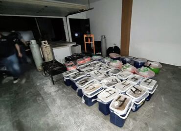 Ejército asegura 98 kilos de metanfetamina en Culiacán; refuerzan seguridad en zonas turísticas