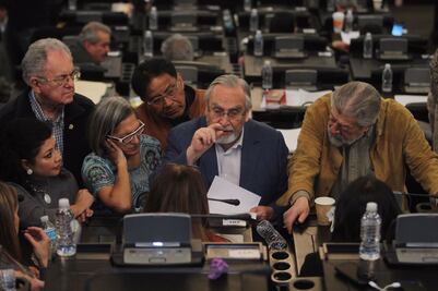 Constituyente insiste en prohibición del aborto