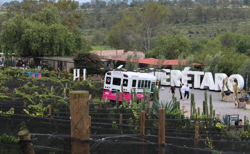 Foto: Alan Nájera / El Universal