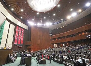 Propone diputado renovar cédula profesional cada 6 años