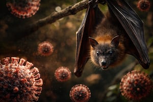 Virus Nipah: ¿cuáles son los síntomas y cómo se contagia el virus que puso en alerta a India?; conócelo aquí