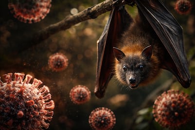 Virus Nipah: ¿cuáles son los síntomas y cómo se contagia el virus que puso en alerta a India?; conócelo aquí