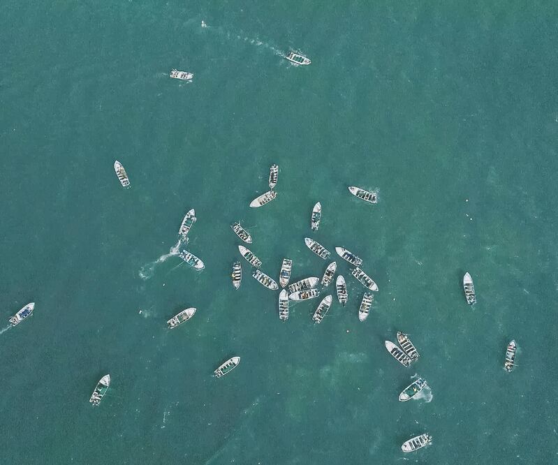Cientos de pescadores de totoaba fueron vistos el domingo pasado en el Alto Golfo de California. Foto: ARCHIVO EL UNIVERSAL