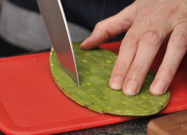 Comprueban efectos benéficos a la salud por consumo de nopal