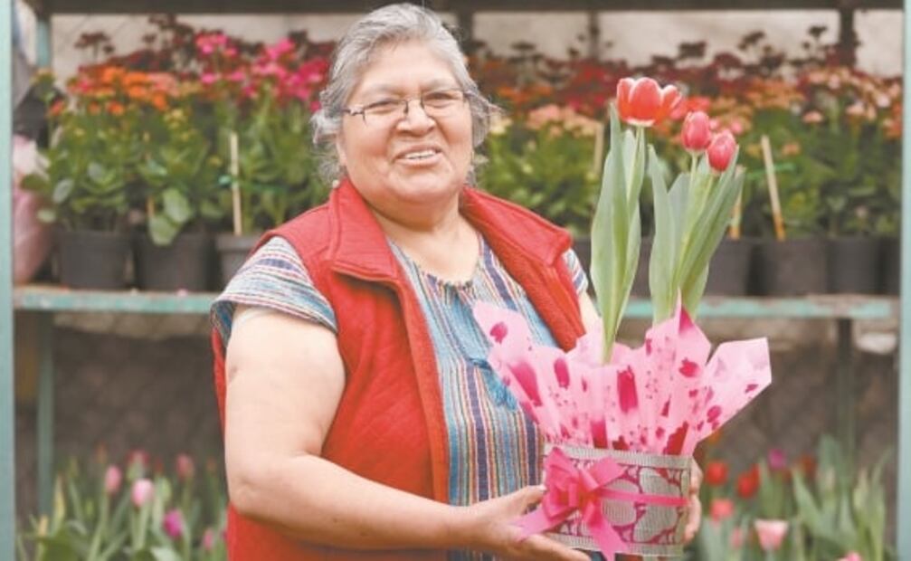 Tulipán, regalo que florece en mes del amor