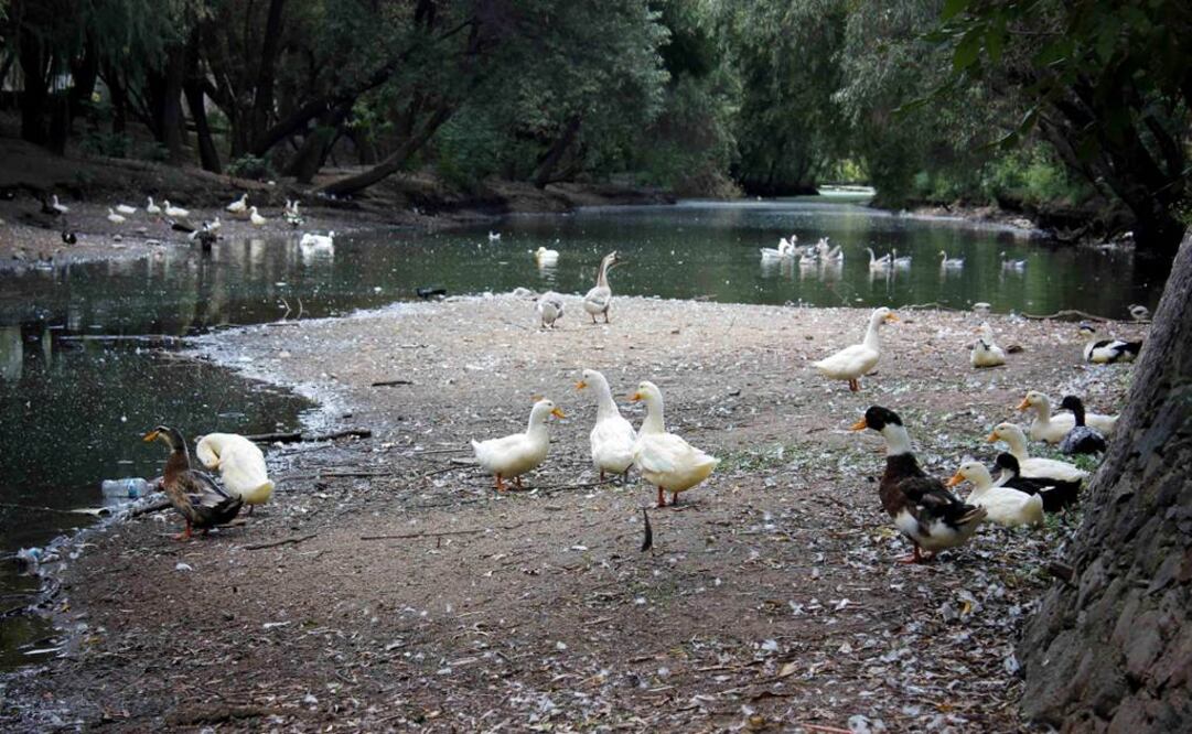 Marín recalcó que los mantos acuíferos del país han padecido sobreexplotación y manejo inadecuado. (FOTO: Archivo EL UNIVERSAL)