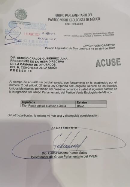 PVEM expulsa a diputada Alexis Gamiño por votar contra la reforma eléctrica de AMLO