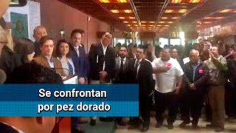 Pesca del pez dorado genera trifulca en la Cámara de Diputados