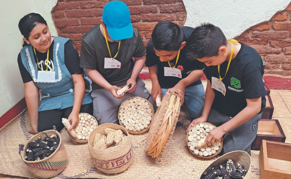 Los menores desgranan las mazorcas, muelen el maíz en los metates, preparan la masa para los tamales y la rellenan de frijoles. Foto: Juan Carlos Zavala
