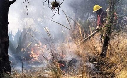 Hidalgo ha registrado 87 incendios forestales en lo que va del año; tres siniestros permanecen activos