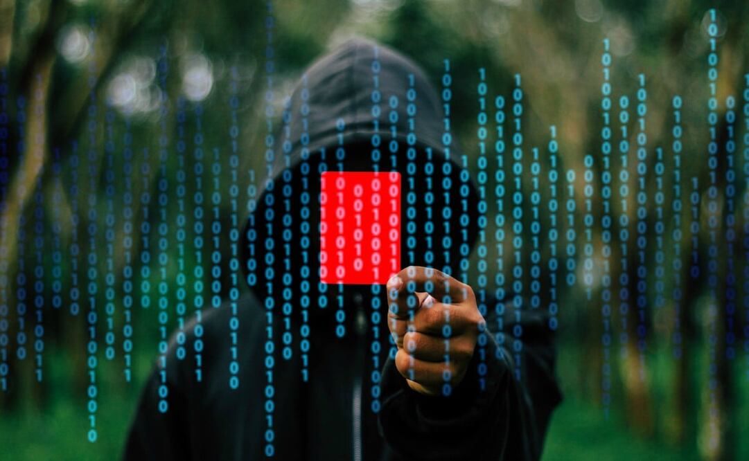 Hay diferentes tipos de hackers. Imagen Pixabay
