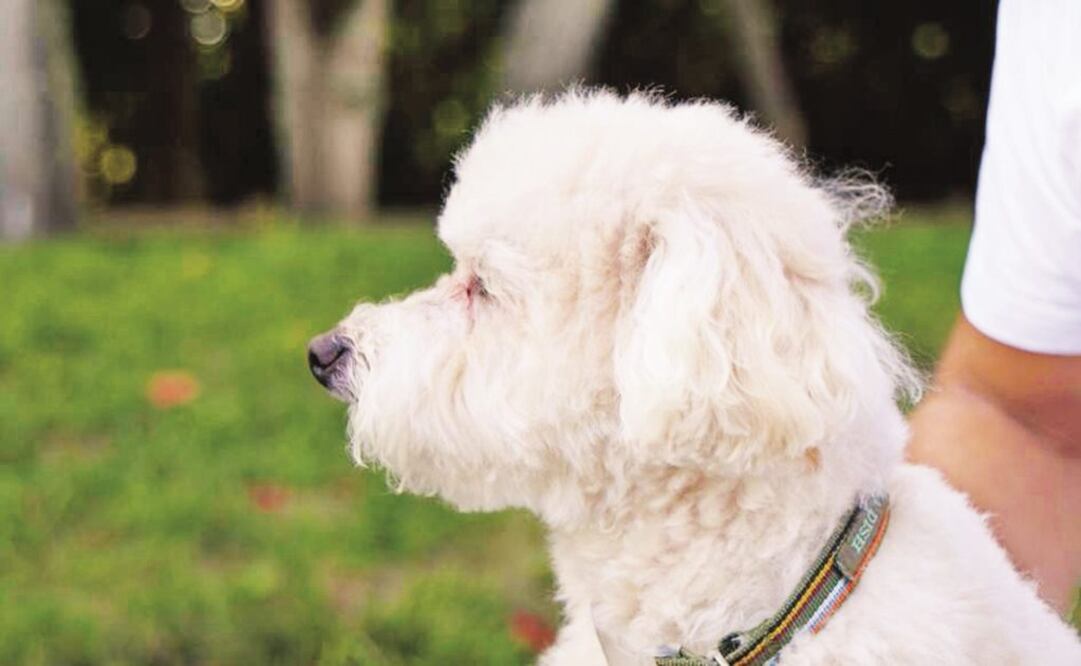 Foto: Archivo / EL UNIVERSAL