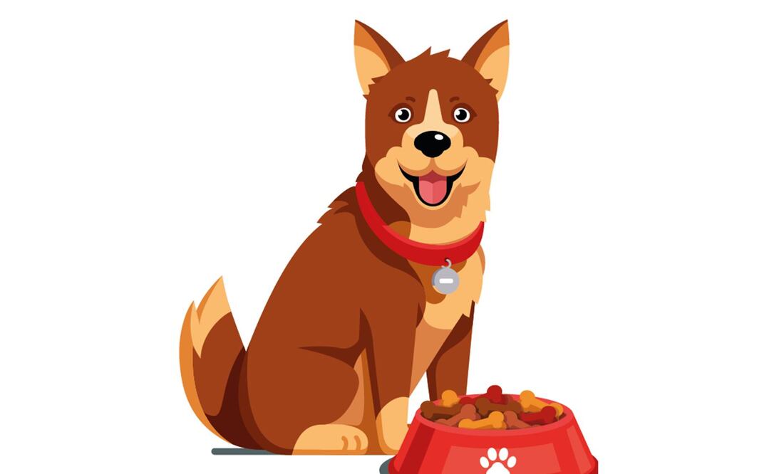 Crece ventas de alimento para mascota 6% en primer trimestre 2025. Ilustración/EL UNIVERSAL