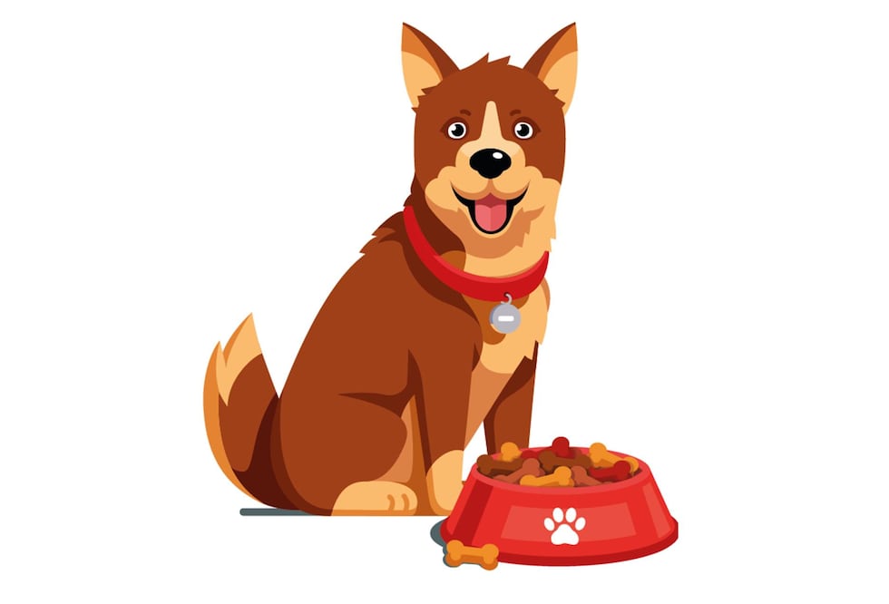 Crece ventas de alimento para mascota 6% en primer trimestre 2025. Ilustración/EL UNIVERSAL