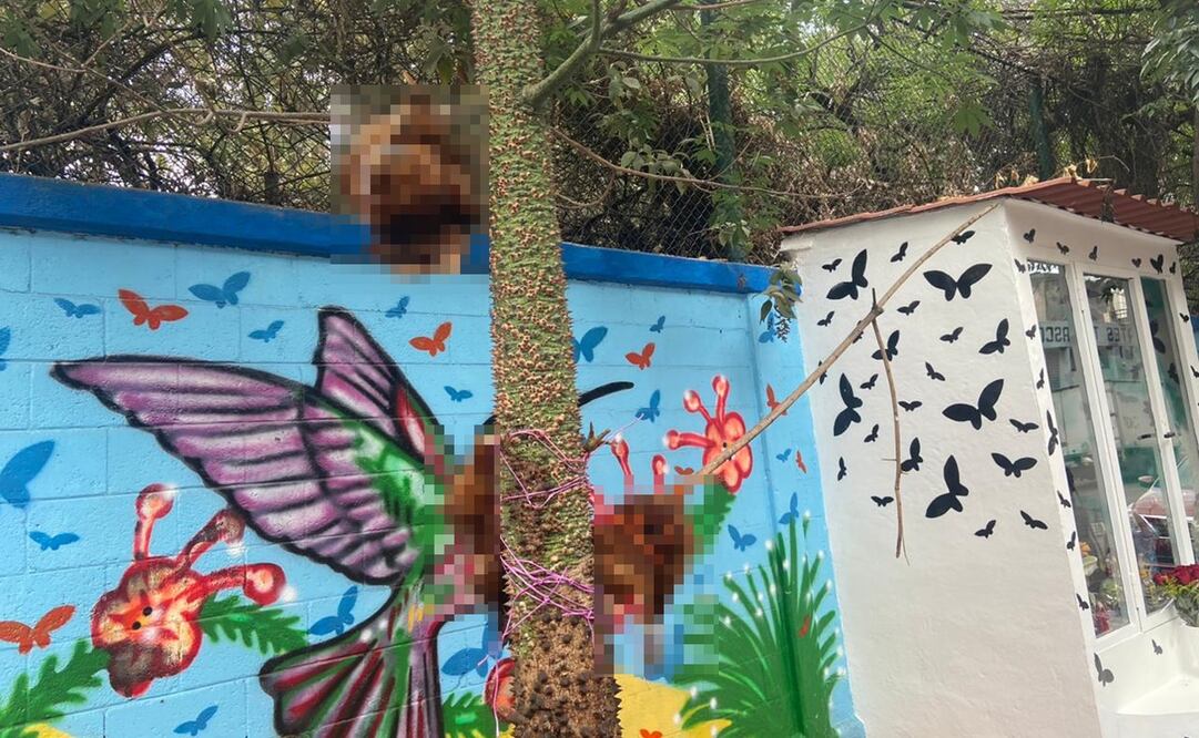 Gallinas empaladas. Foto: Juan Carlos Williams / EL UNIVERSAL