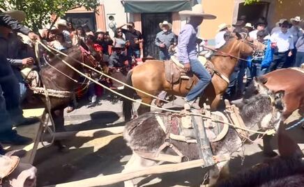 Indignación en Zacatecas por maltrato animal; burrito colapsa durante cabalgata en Feria de Jerez