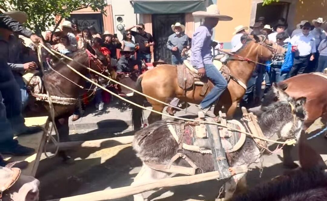 Indignación en Zacatecas por maltrato animal; burrito colapsa durante cabalgata en Feria de Jerez. Foto: Captura de pantalla