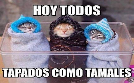 Frío y memes... la mejor fórmula contra el clima