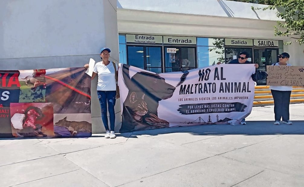Entre los puntos del reglamento más importantes a destacar está el de que los
animales sean reconocidos como seres sintientes. Foto: Especial