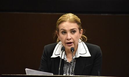 Busca PRD crear registro nacional de albergues para animales en situación de calle