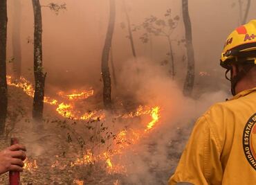 Incendio en Bosque La Primavera ya fue controlado: Alfaro