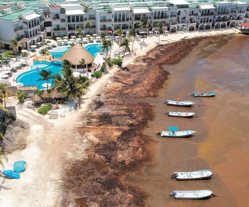 Sargazo acumulado en Playa del Carmen, Quintana Roo, uno de los destinos preferidos por viajeros. Foto: MANUEL VALVE. XINHUA