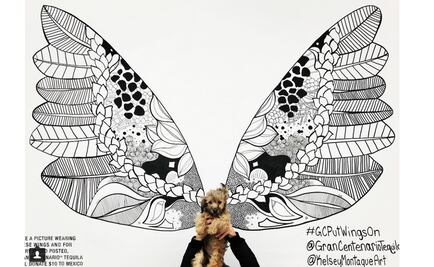 "Reina del street art” subasta mural para ayudar a México