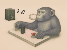 Macacos aprenden a seguir el ritmo de la música