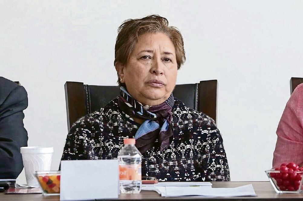 Cargo. María de Lourdes Medina Ortega, presidenta del Consejo de Cámaras y Asociaciones Empresariales del Estado de México. (ESPECIAL)