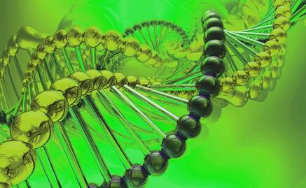 Genetic bar code for plant species developed in Mexico