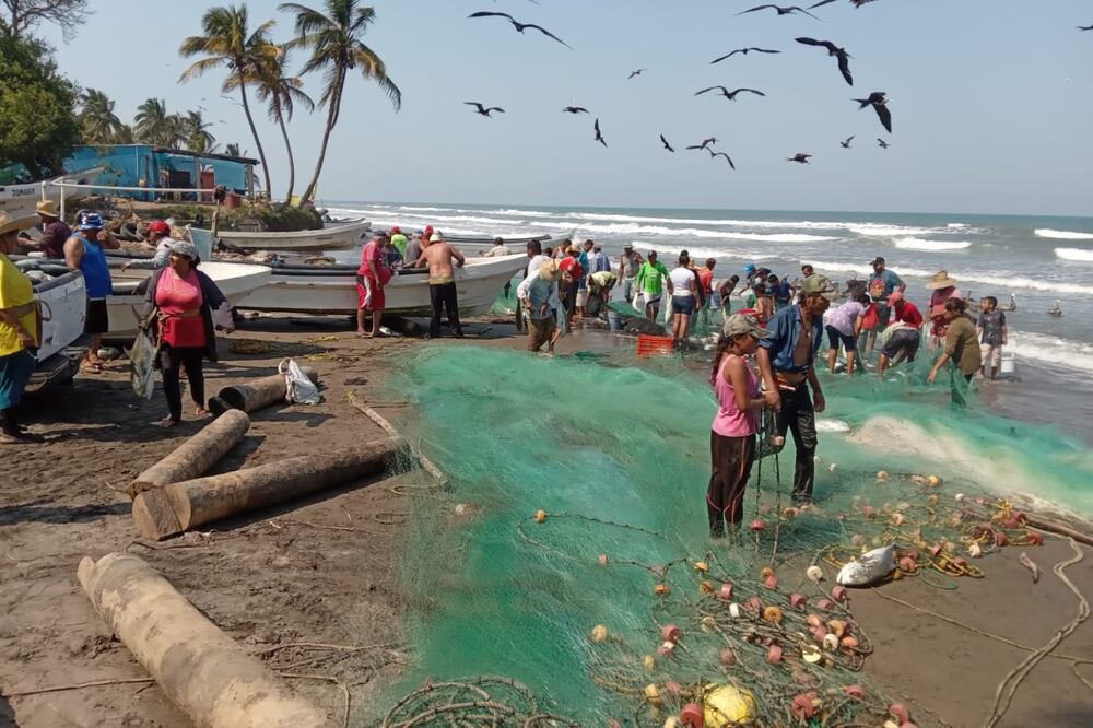 El estudio, realizado por el Tecnológico Nacional de México y otras instituciones, abarcó pueblos de Alvarado, Actopan y Jamapa Foto: Especial