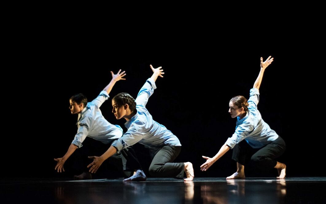 La compañía sonorense de danza, Producciones la lágrima se presentó en el Festival Internacional Cervantino.
Foto: FIC, cortesía