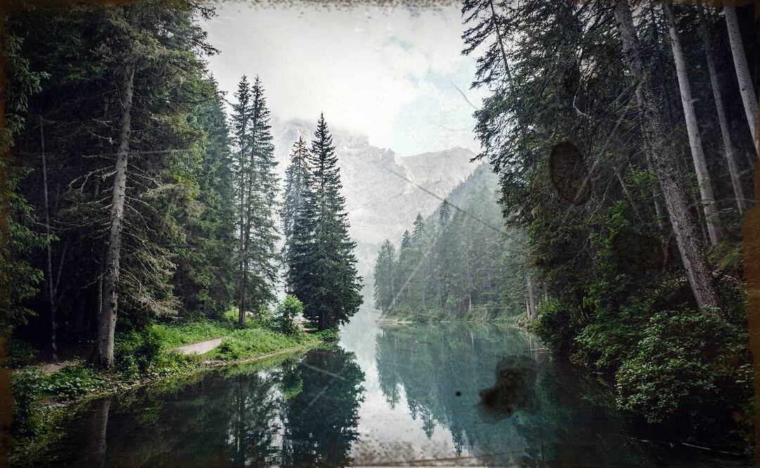 Foto: Ilustrativa. Pixabay