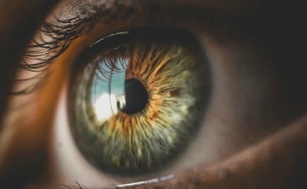 Protege tus ojos del constante uso de pantallas