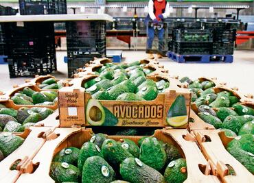 La 4T gasta 17 mdp en mudanza de exfuncionarios