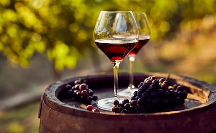 La revolución de la Garnacha