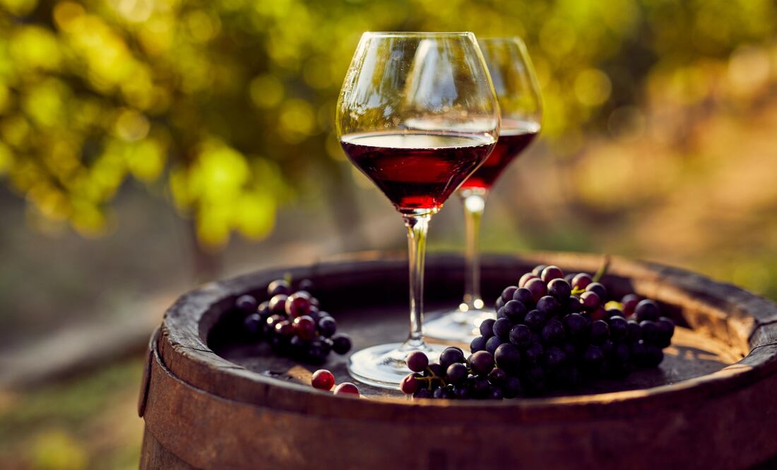 La DO Cebreros, creada en 2017, ha emergido en el panorama vitivinícola español como una de las regiones más prometedoras y dinámicas. Foto: Especial