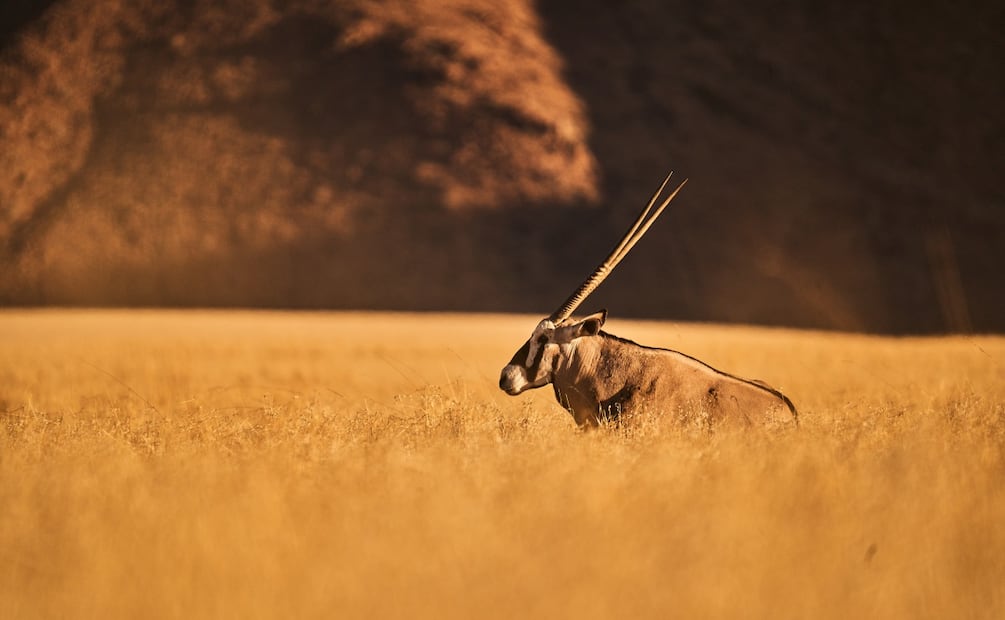 Imagen: Alberto Alcocer