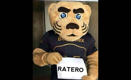 Pumas en memes... ¿un lindo gatito?